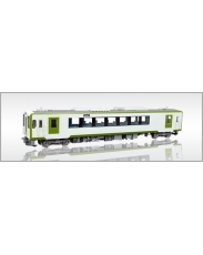 エンドウ JR東日本キハ110系　キハ110-100・T　プラスチック製 スケール：1/80 レール...