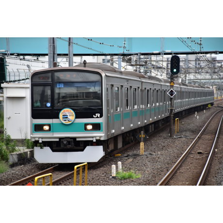 JR東日本209系1000番台 常磐線PS33D 10両フルセット13mm版