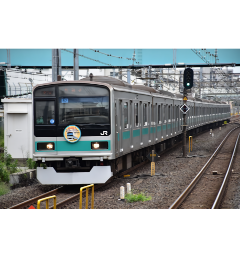 JR東日本209系1000番台 常磐線PS33D 10両フルセット13mm版　エンドウオンライン限定